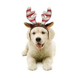 Camon cerchietto con corna...