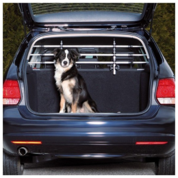 Divisorio per auto in...