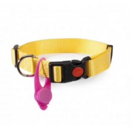 Ciondolo luminoso per cani