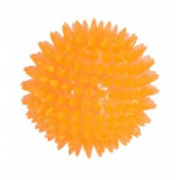 Camon Gioco Cane Palla con...