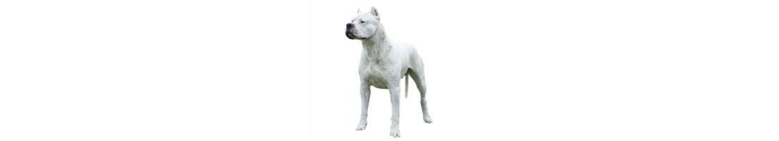 Dogo argentino mangimi e crocchette per il tuo cane