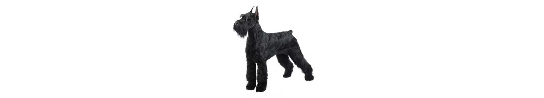 Schnauzer gigante mangimi e crocchette per il tuo cane