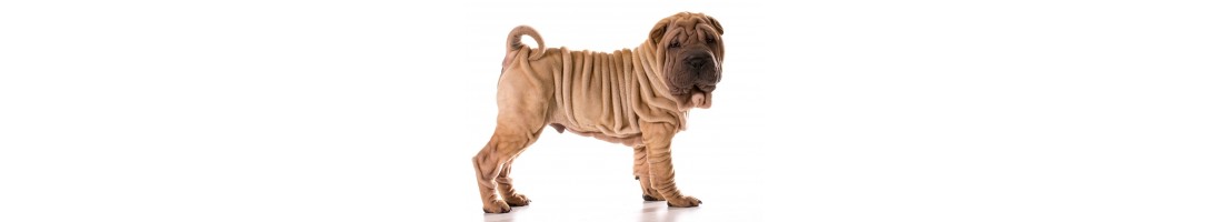 Shar pei mangimi e crocchette per il tuo cane