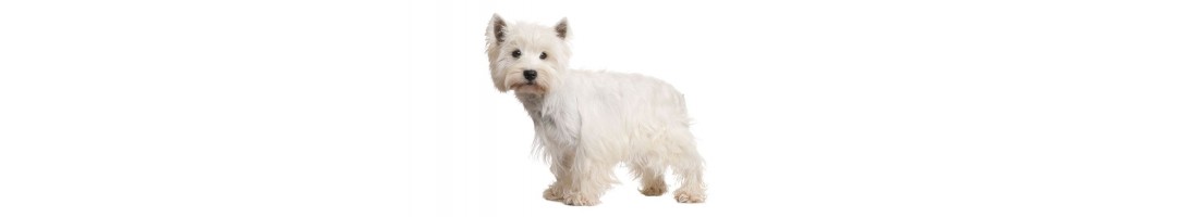 Westie mangimi e crocchette per il tuo cane