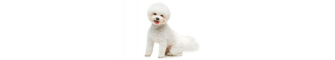 Bichon mangimi e crocchette per il tuo cane