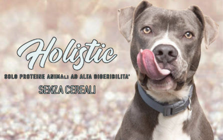 Holistic Dog